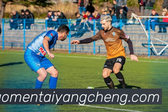 太阳城娱乐平台生态图