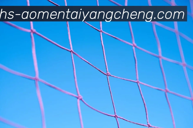 辅助工具 辅助工具